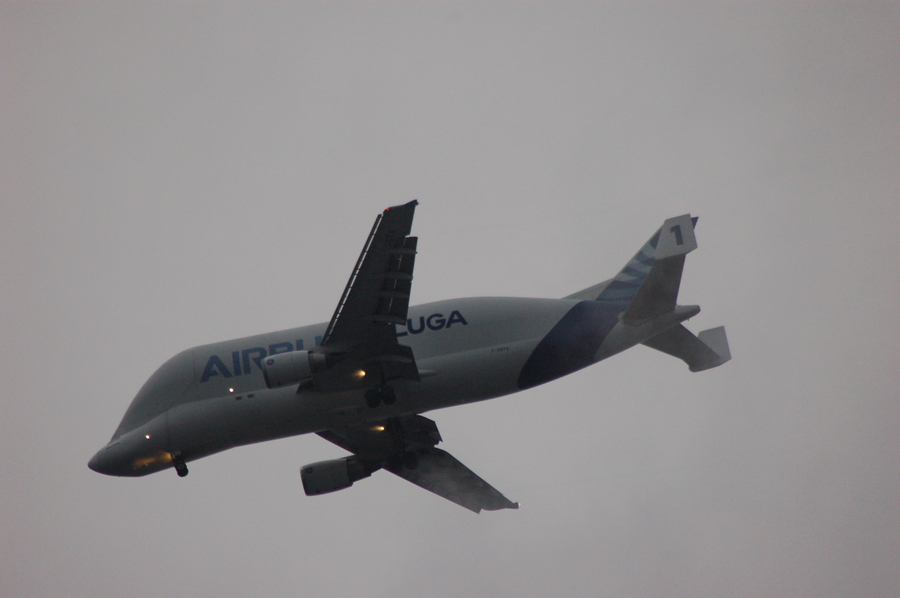 Pic /JPG/Airbus/A300/A300-608ST Baluga/F-GSTA//DSC_6322.JPG